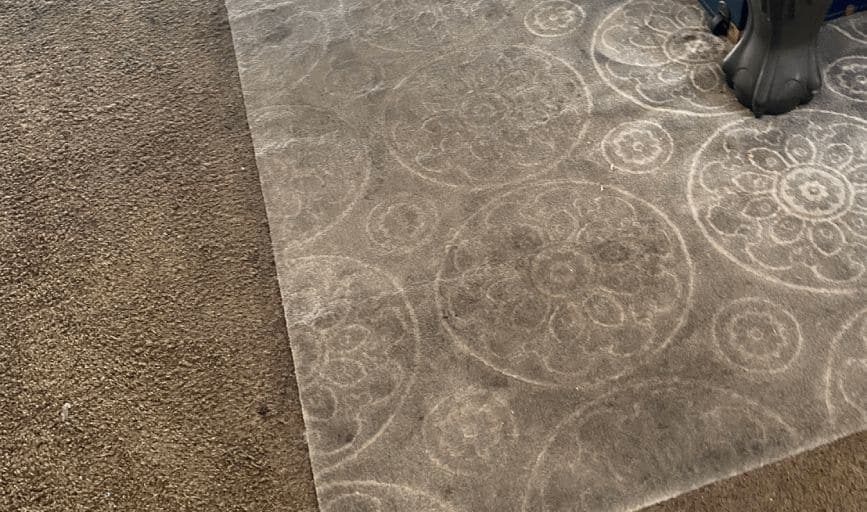 Patterned area rug cleaned in place