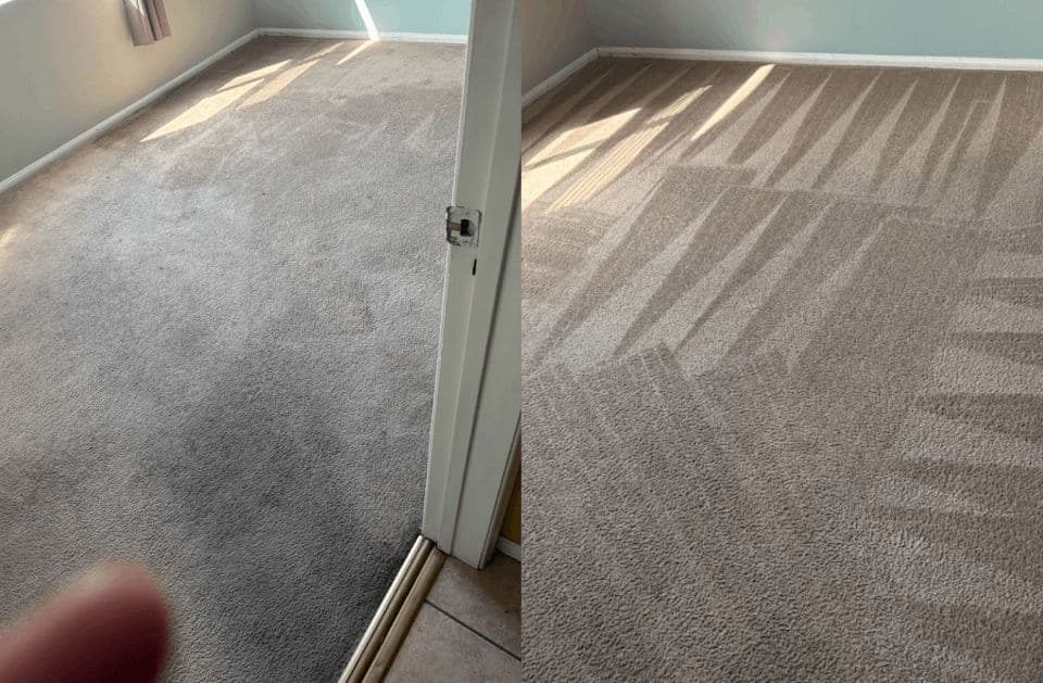 Hallway carpet cleaned and groomed
