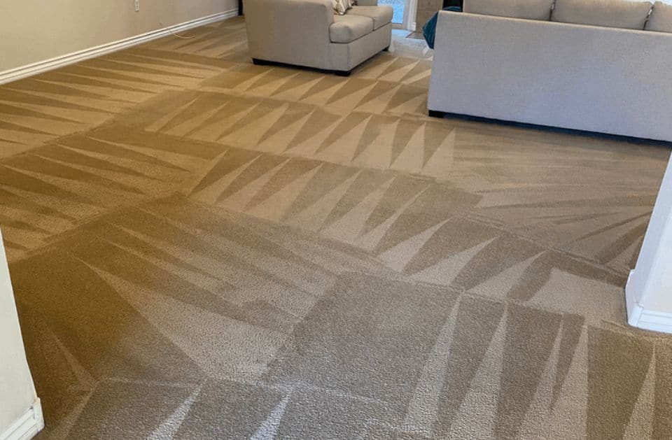 Open lounge area with freshly cleaned carpet