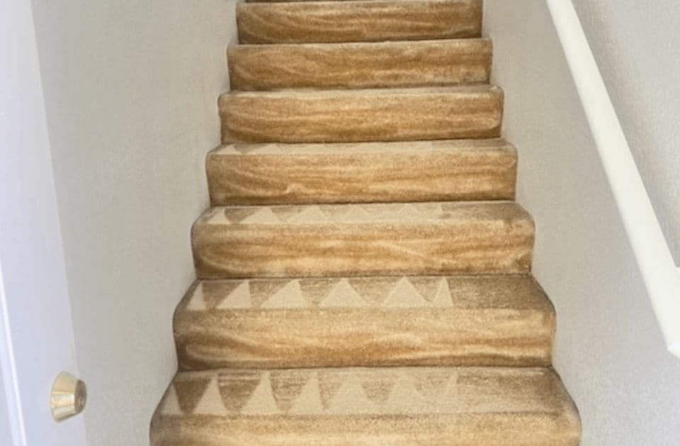 Cleaned and groomed carpeted staircase