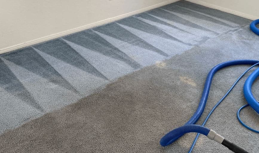 Cleaning wand extracting water from carpet
