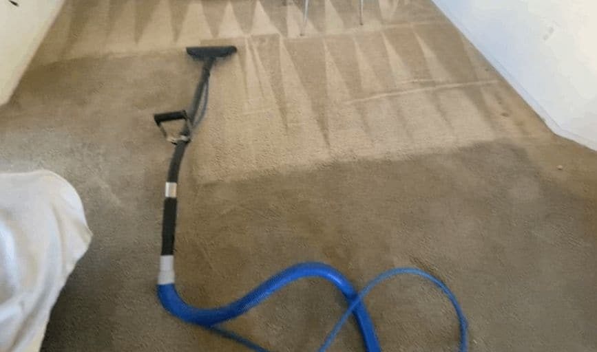 Cleaning wand extracting water from carpet in a North Las Vegas home